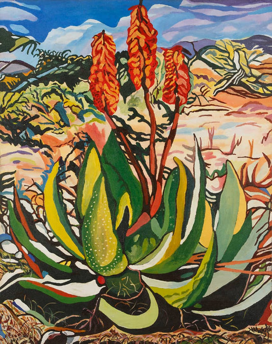 Aloe "Gavakava"