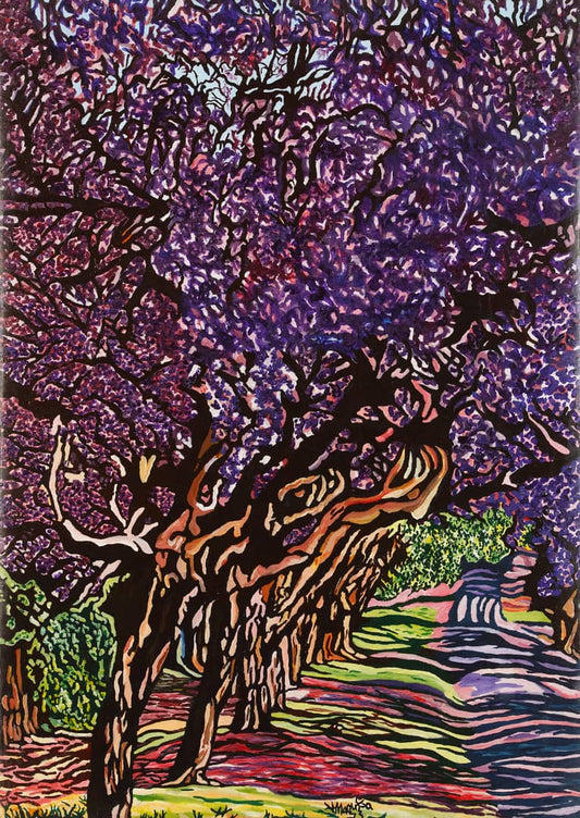 Ridgeway Jacarandas