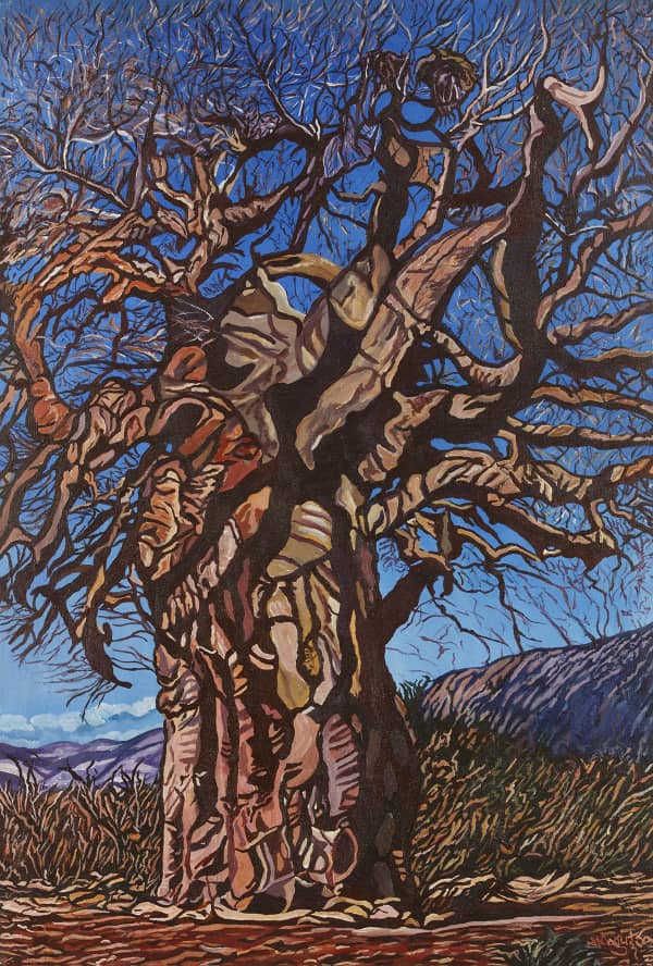Wild Baobab