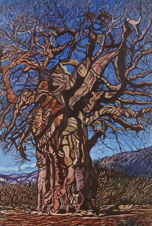 Wild Baobab