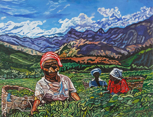 Tea Pickers Chipinge