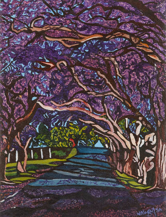 Cumberland Jacarandas