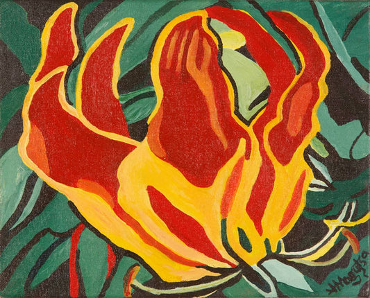 Flame Lily (1)