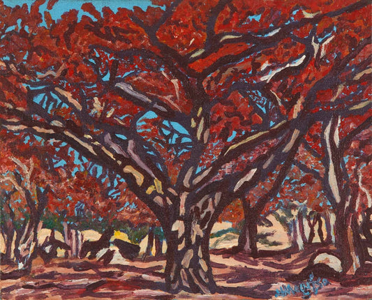 Msasa Woodlands
