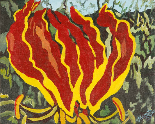 Flame Lily (2)