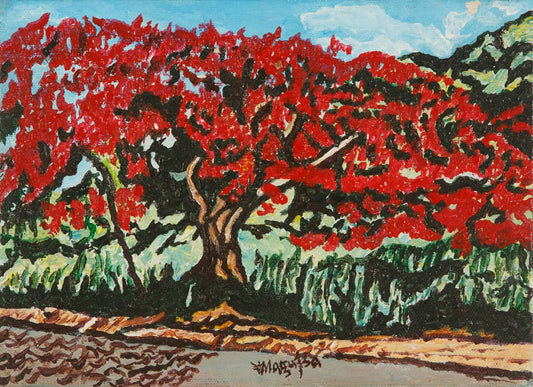 Roadside Flamboyant