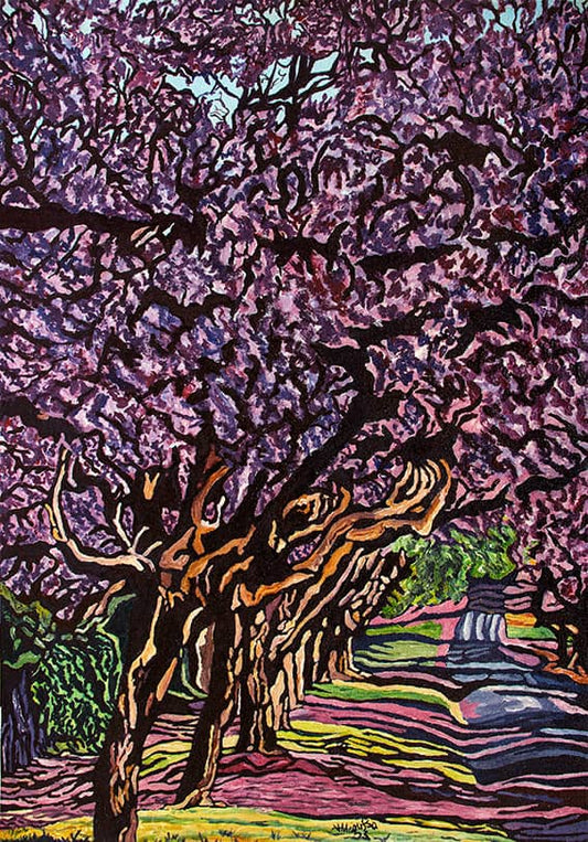 Ridgeway South Jacarandas