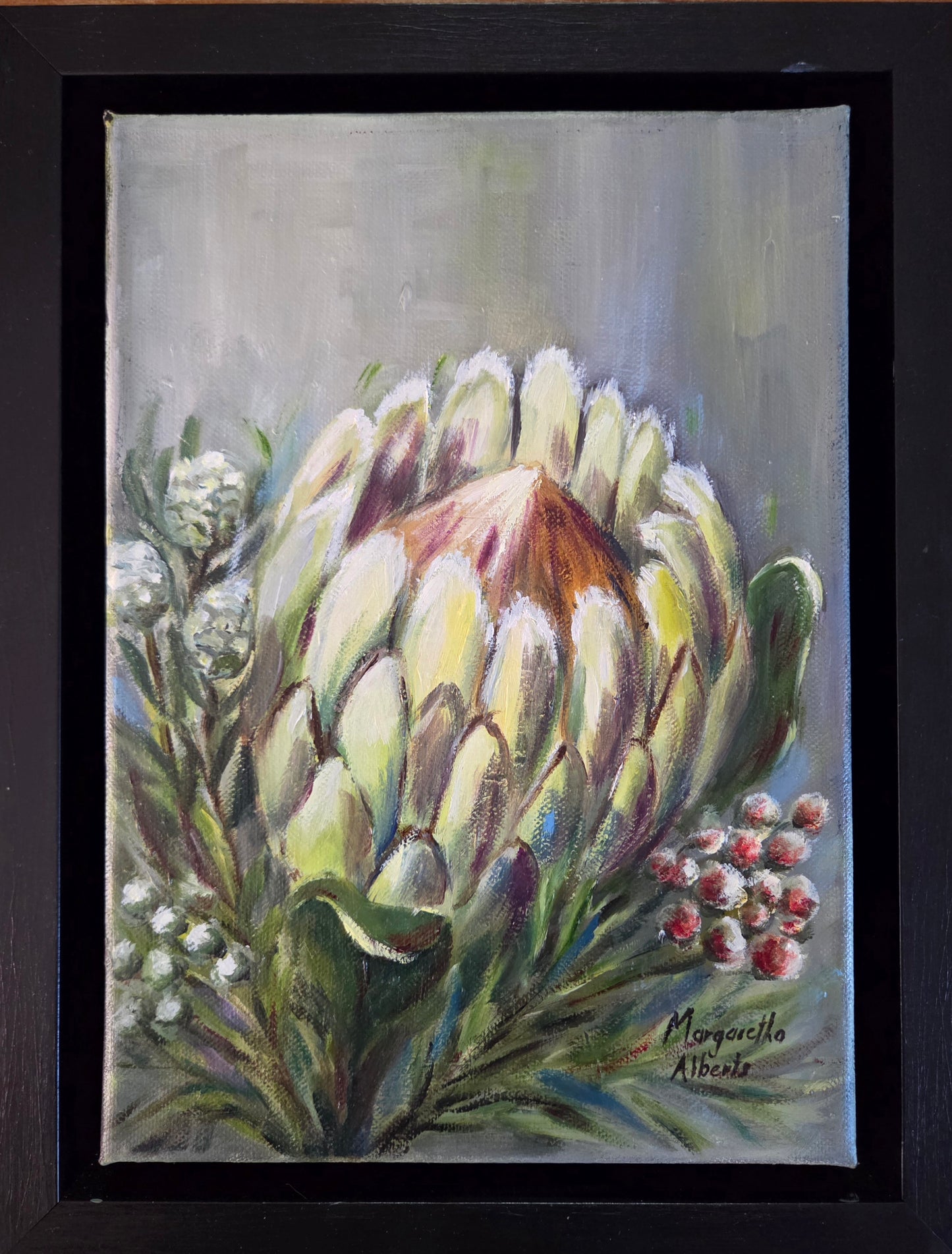 White Protea 2