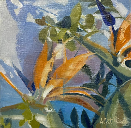 Orange + Blue