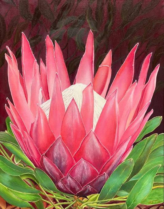 King protea