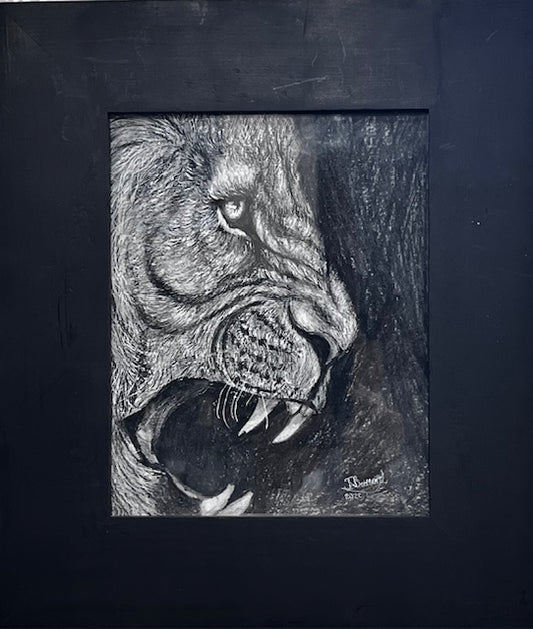 Aggressie (Agression)