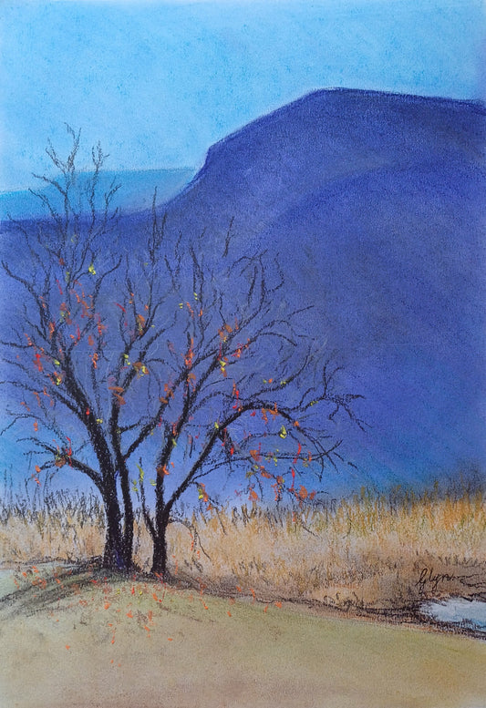 Autumn in Clarens