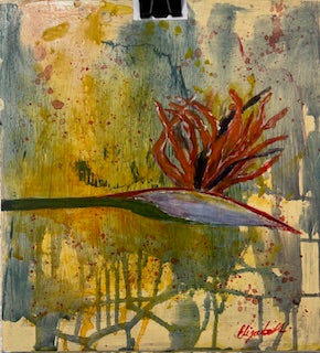 Bird of Paradise (Strelitzia)
