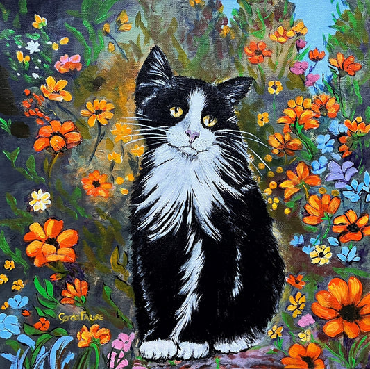 Black Tuxedo Cat