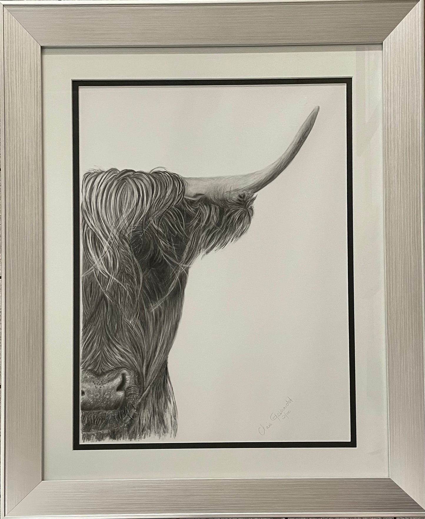 No Bull I