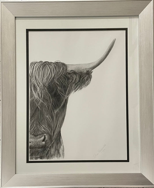 No Bull I