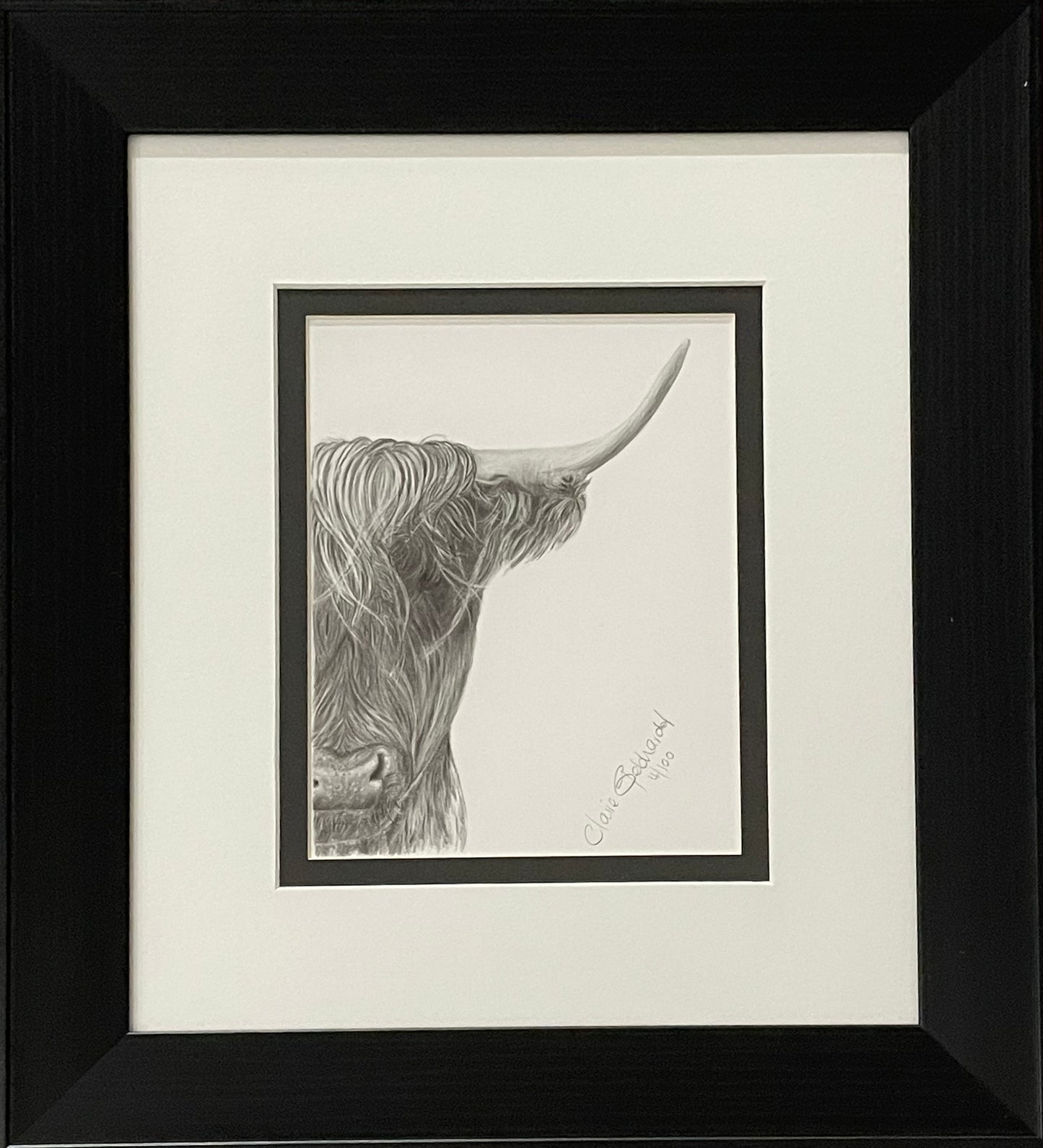 No Bull II