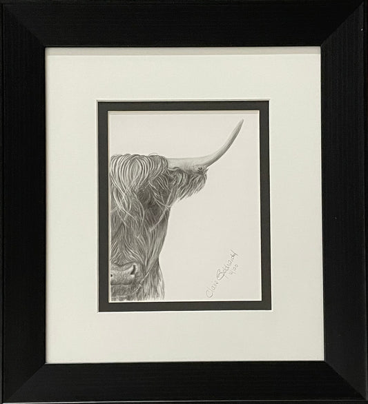 No Bull II