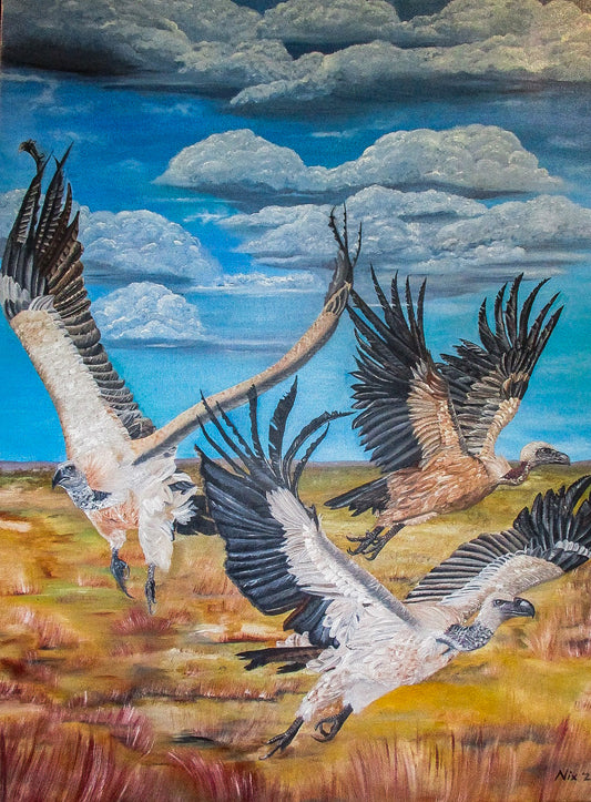Hear our Cry: Cape Vulture