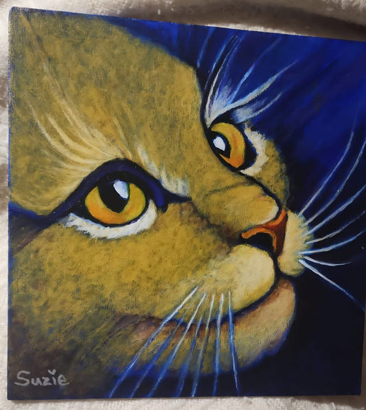 Cat's Delight