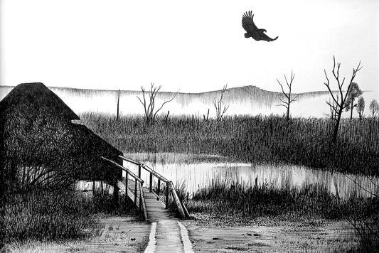 Coots Corner