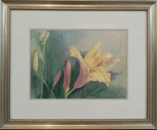Daglelie / Day Lily