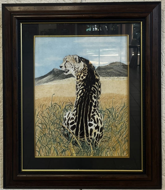 Cheetah