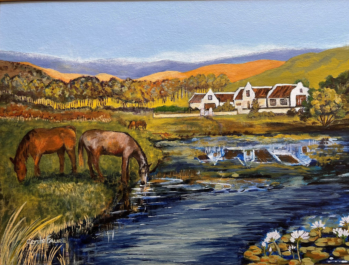 Reflection of Rustic Life