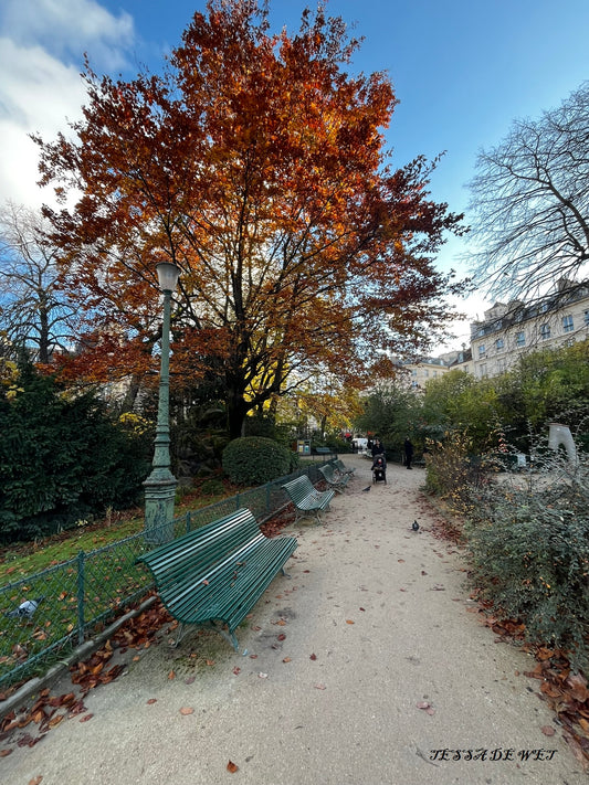 The Blushing Tree