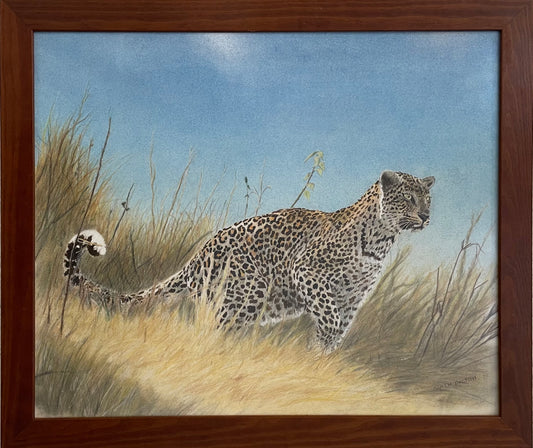 Leopard