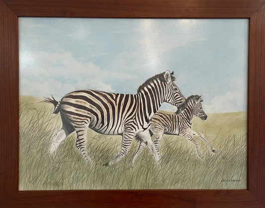 Zebra and foal