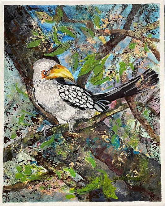 Yellow hornbill