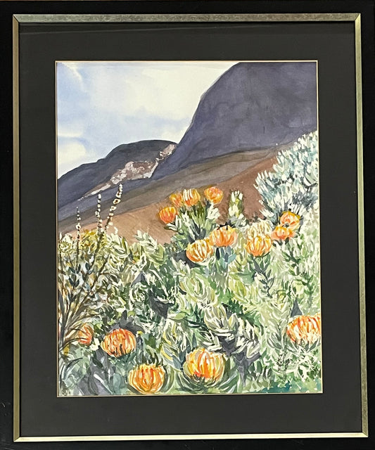 Pincushions at Kirstenbosch