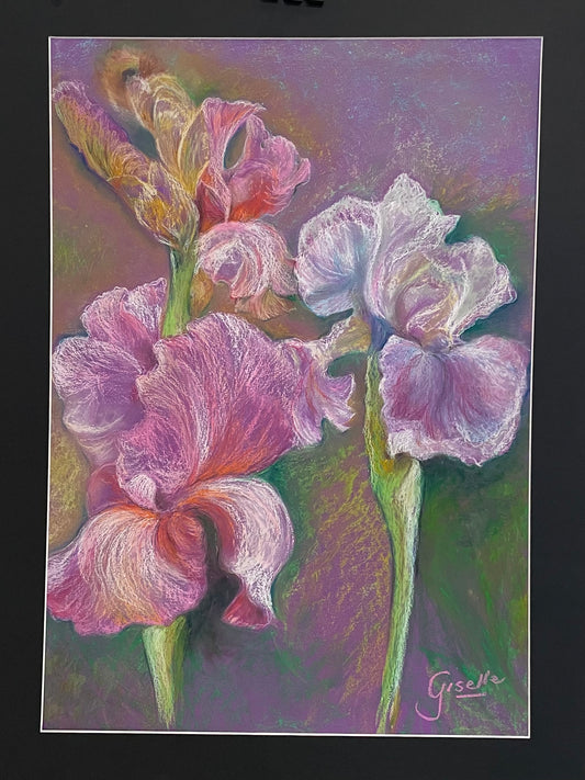 Connection to colour