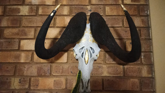 Black Wildebees Scull