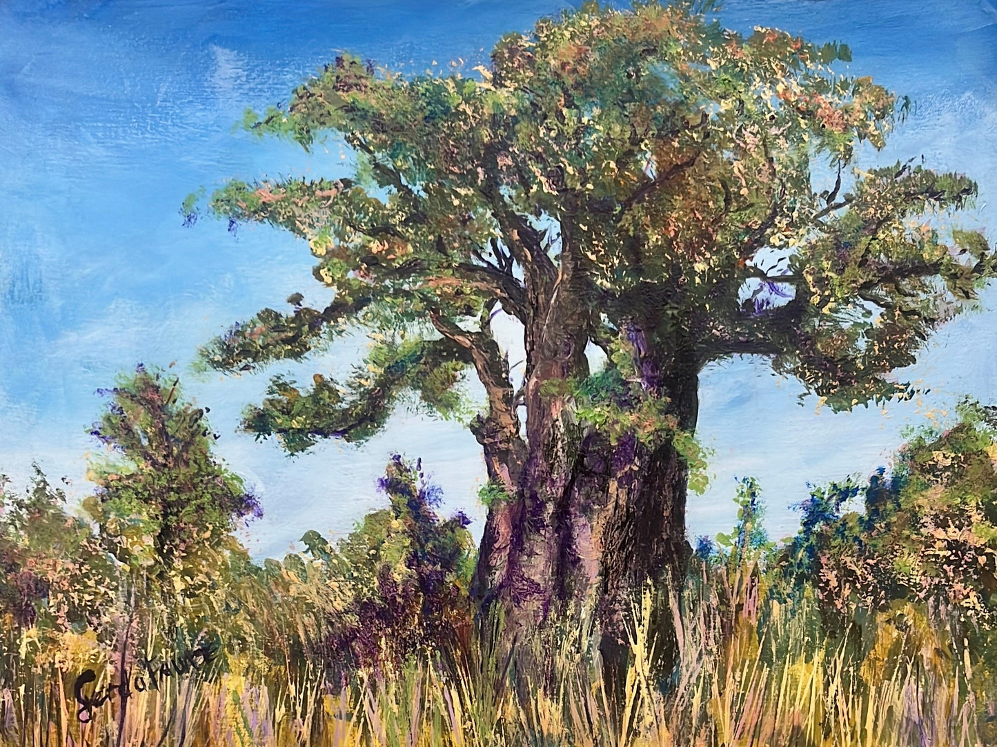 Groen Kremetart (Green Baobab)