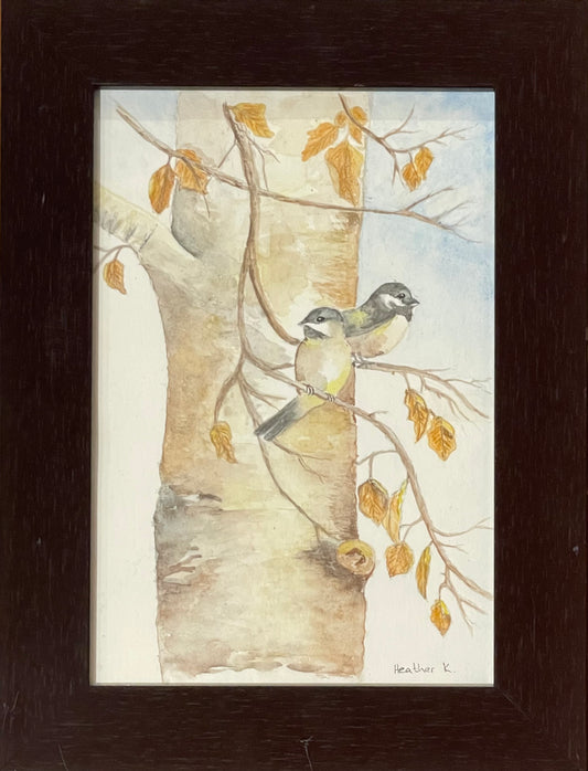 Birch + Birds