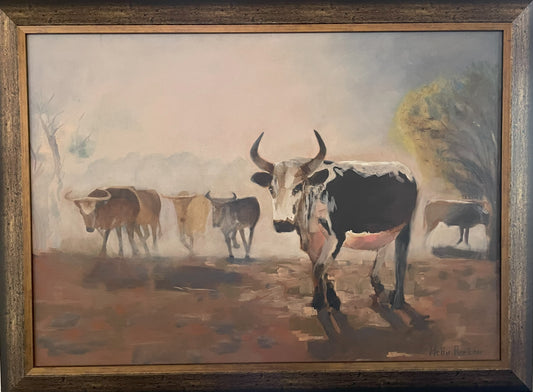 Nguni cattle