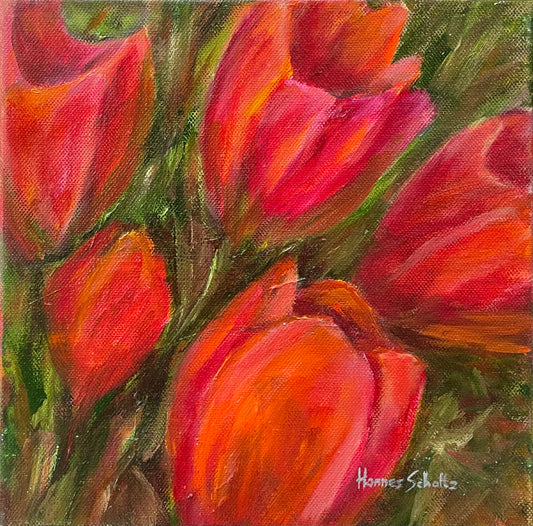 Rooi tulpe