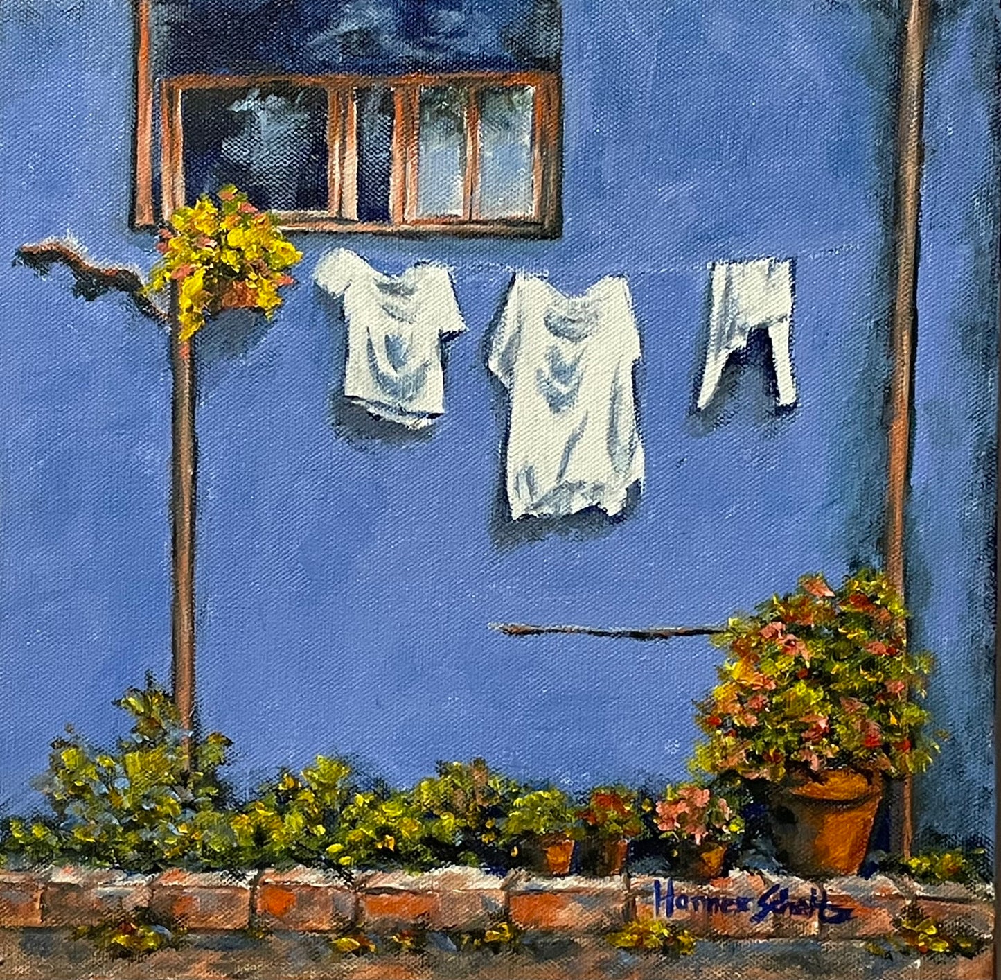 Washing line