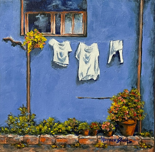 Washing line