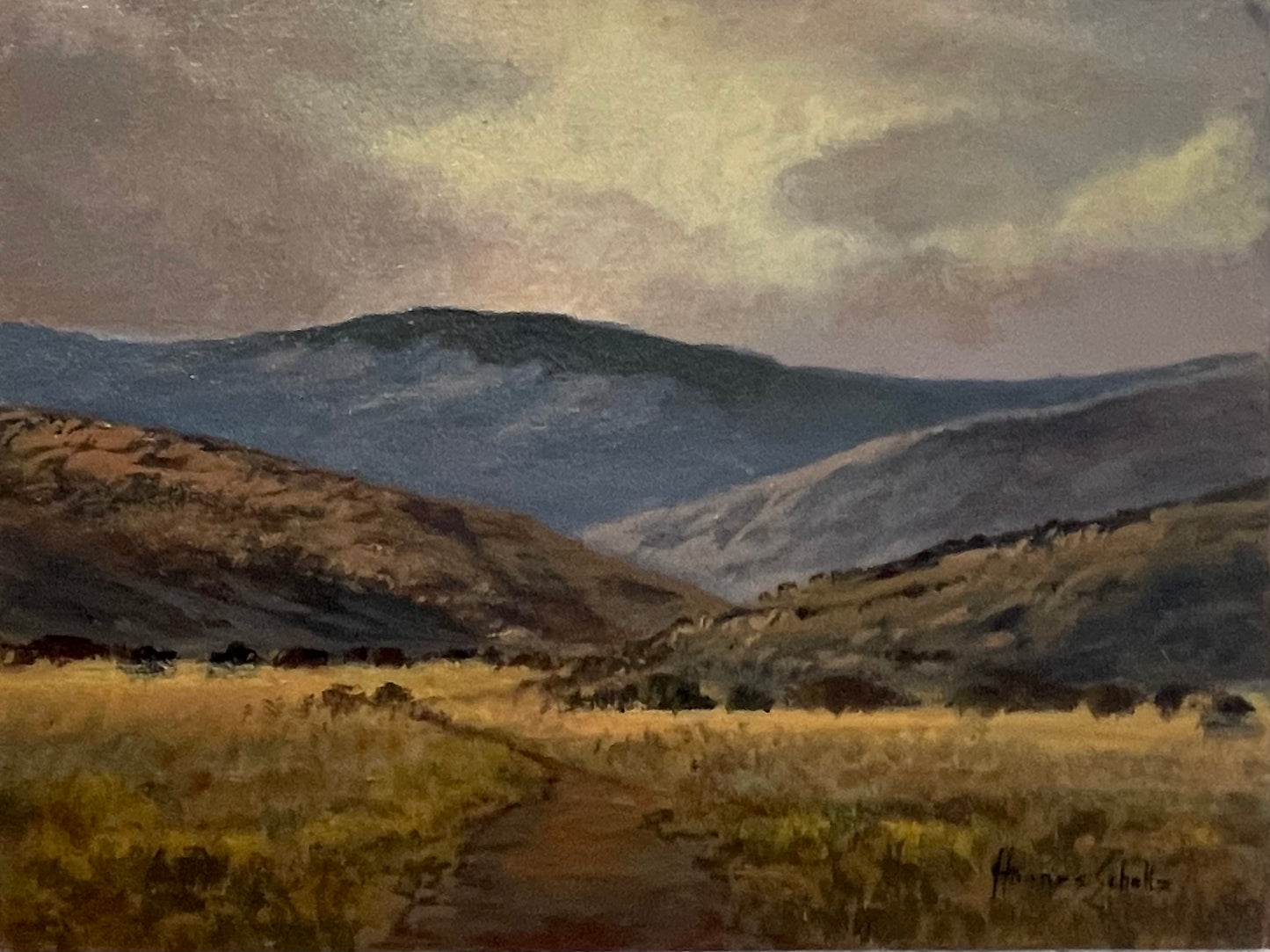 Karoo landskap