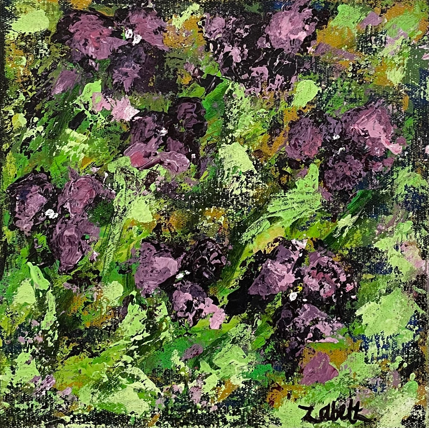 Fields of iris