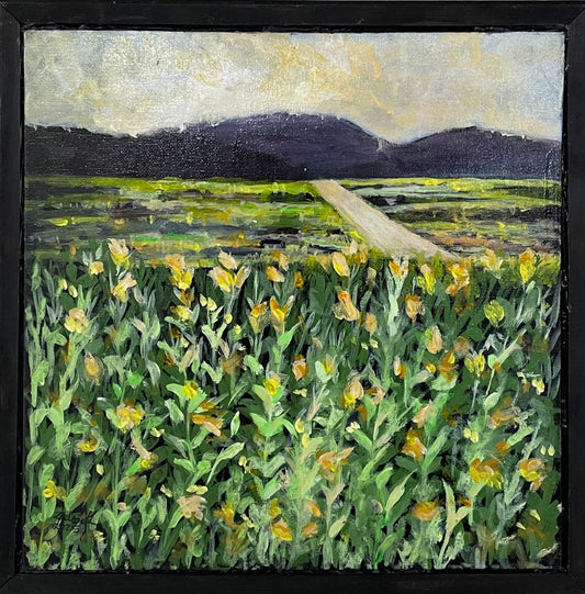Fields of gold