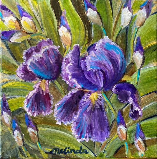 Irises