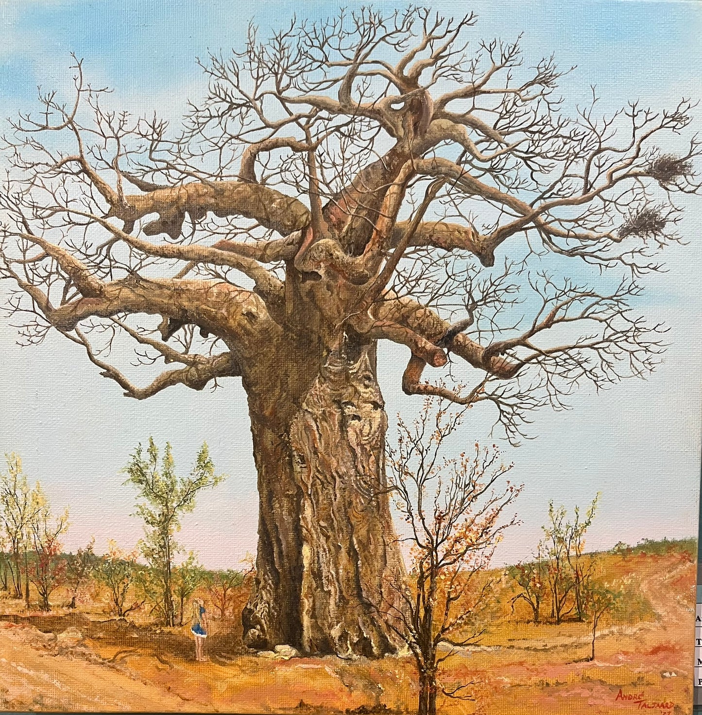 "It's Big" (Baobab Tree)