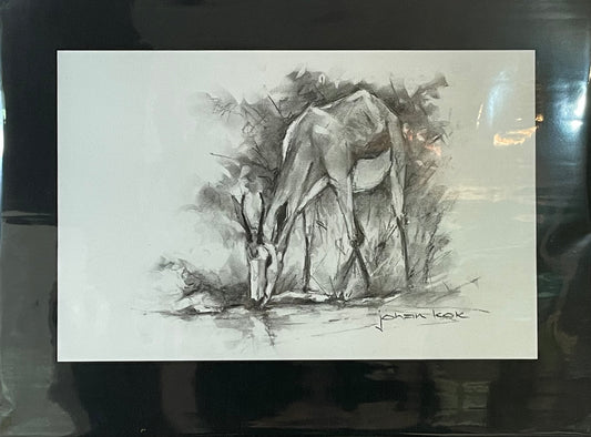 Springbok 1 Grazing