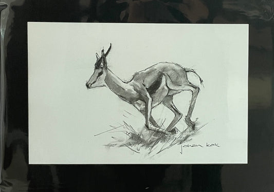 Springbok On the Run