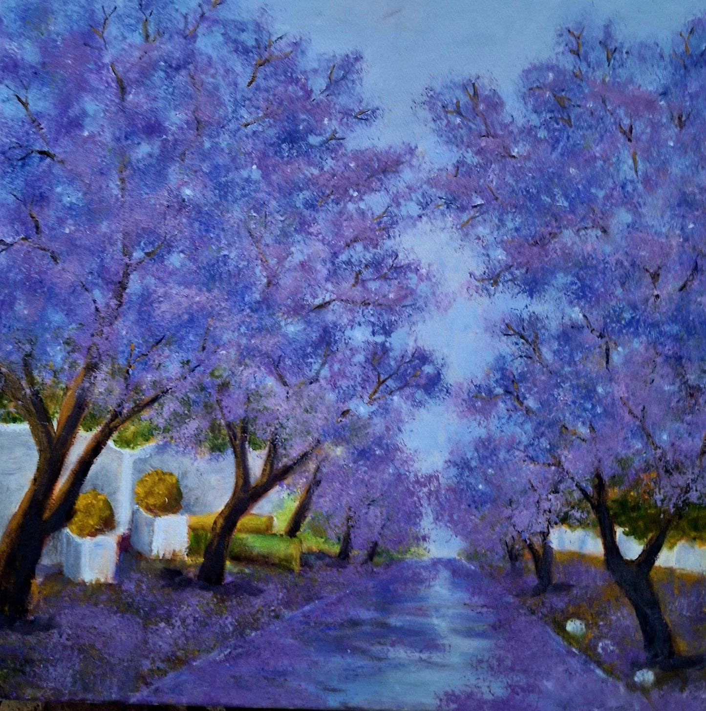 Jakarandastraat (Jacaranda Street) 3