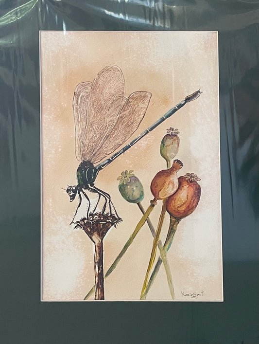 Dragonfly visit